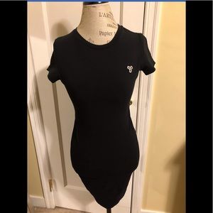 Aritzia TNA Dress